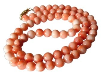 Coral